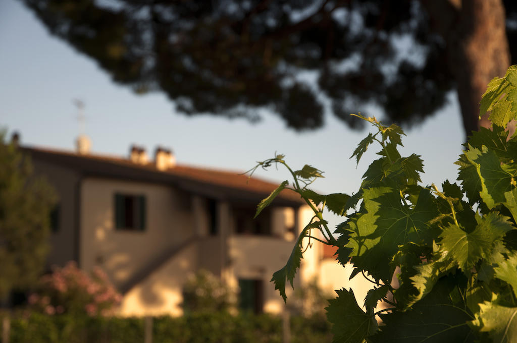 Agriturismo Quattro Pini كاستاجنيتو كاردوتشي المظهر الخارجي الصورة