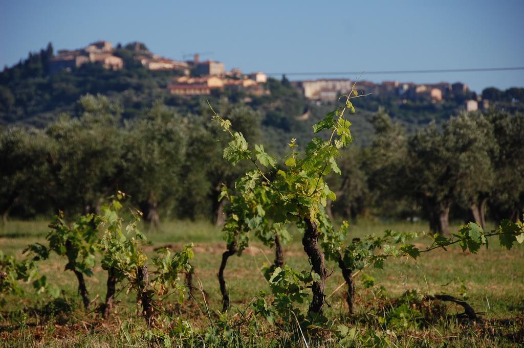 Agriturismo Quattro Pini كاستاجنيتو كاردوتشي المظهر الخارجي الصورة